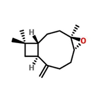 CAS:1139-30-6|KARIOFİLEN OKSIDI